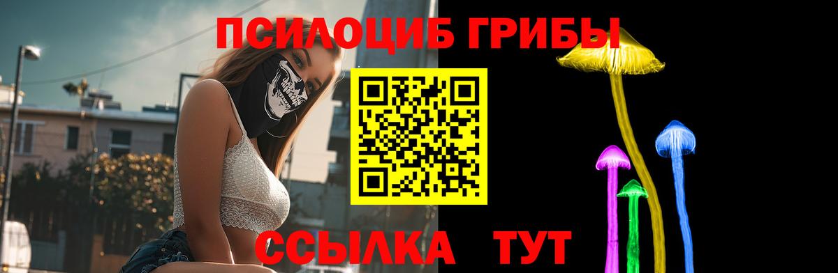 Галлюциногенные грибы мицелий Михайловск